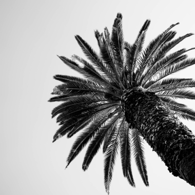 Foto de la actividad.