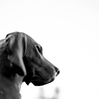 Foto de la actividad.