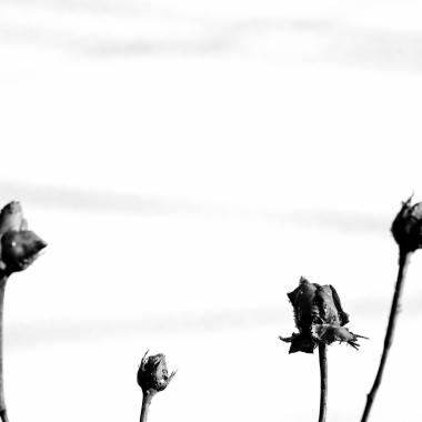 Foto de la actividad.