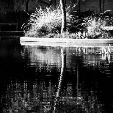 Foto de la actividad.