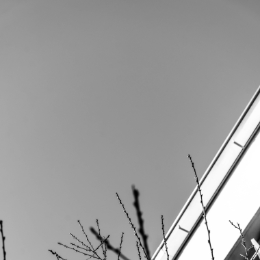 Foto de la actividad.