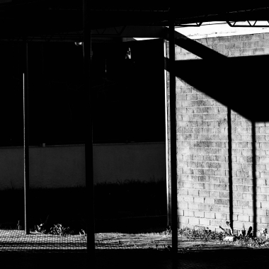 Foto de la actividad.