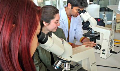 Charlas, experiencias y prácticos en laboratorios se realizan durante la primera semana de octubre