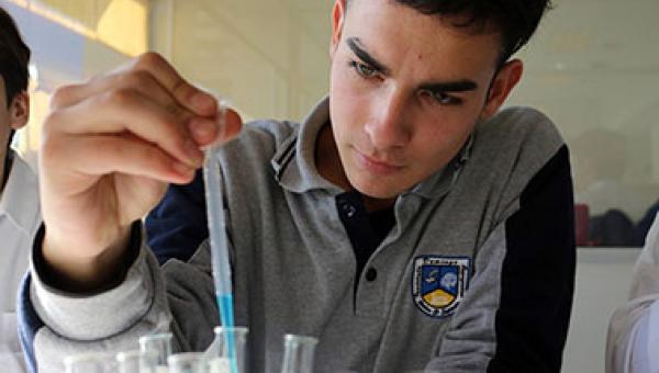 imagen La tabla periódica de los elementos: 150 años de enseñanza de la química.