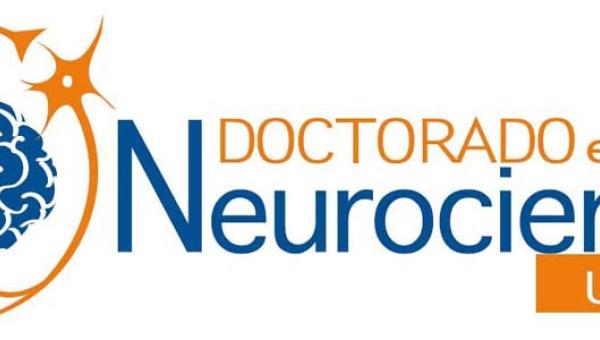 imagen Doctorado en Neurociencia acreditado por seis años