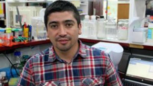 Buscan solución para enfrentar bacterias que atacan a los peces