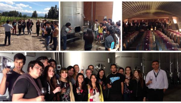 Estudiantes de pregrado realizan salida a terreno a Viña Pérez Cruz