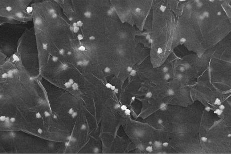 Óxido de grafeno decorado con nanopartículas