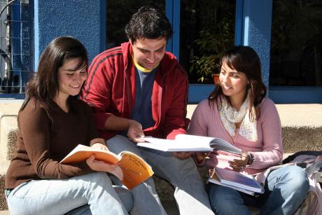 Institucional