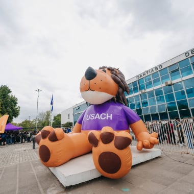 Fotos de la actividad.