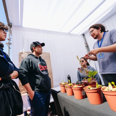 Foto de la actividad.