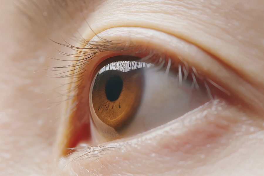Una vista macro detallada de un ojo café de perfil, capturando la luz que se refleja en la córnea y las complejas texturas del iris.