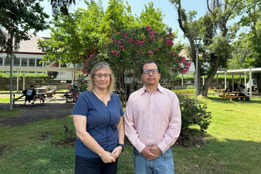 En la imagen aparecen la Dra. Marina Stepanova y el Dr. Víctor Pinto, ambos académicos del Departamento de Física.