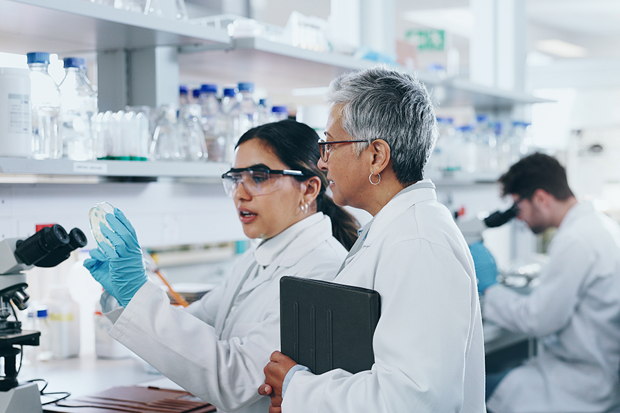 Two female scientists in a lab examine a petri dish together, with one scientist in the background using a microscope.