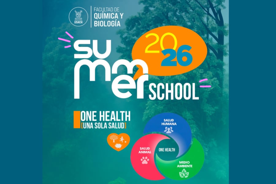 Afiche Summer School Facultad Química y Biología
