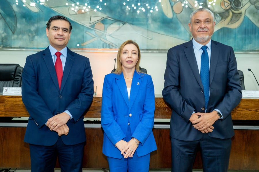 En la imagen aparecen de izquierda a derecha Cristián Muñoz Canales, Andrea Mahn Osses y Pedro Palominos Belmar. 