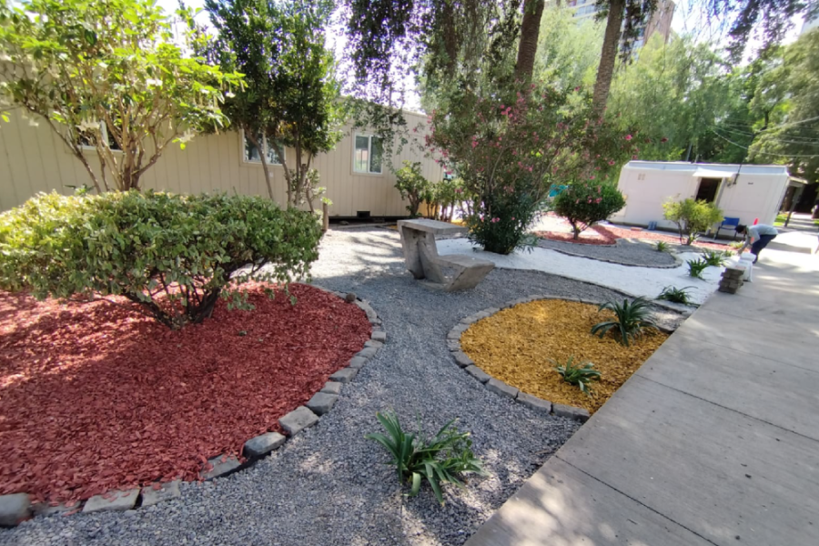 En la imagen se muestra uno de los jardines sustentables