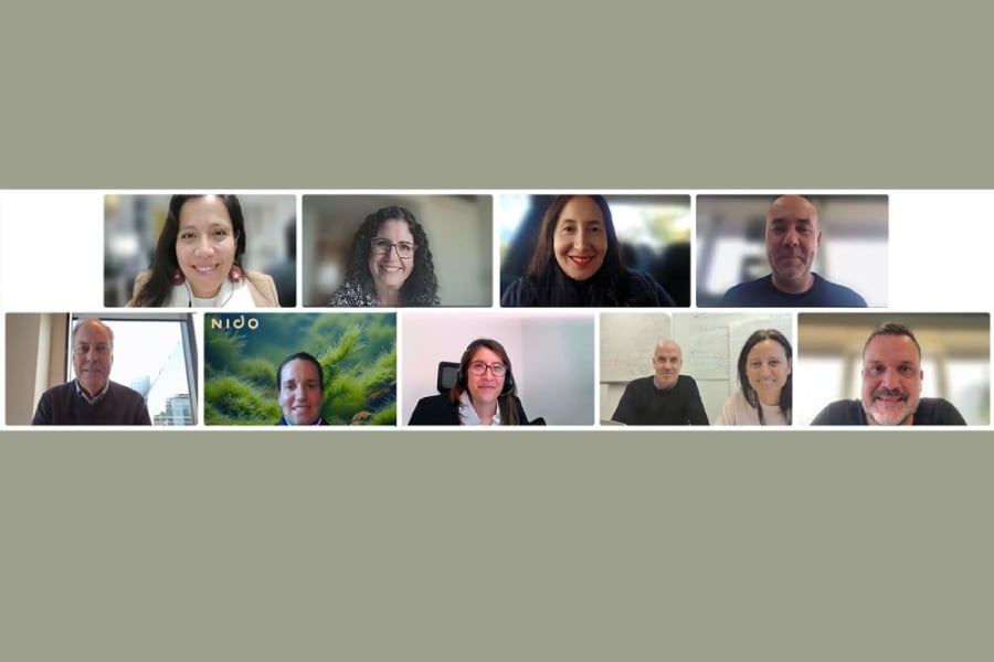 La imagen corresponde a una captura de pantalla de la reunión online
