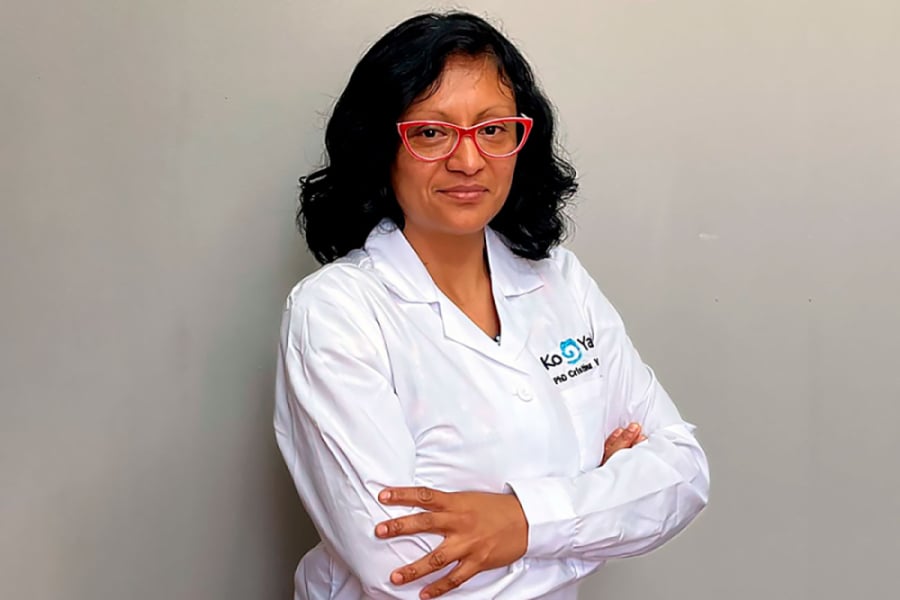 En la imagen aparece la Dra. Cristina Villamar Ayala, académica de la Facultad de Ingeniería