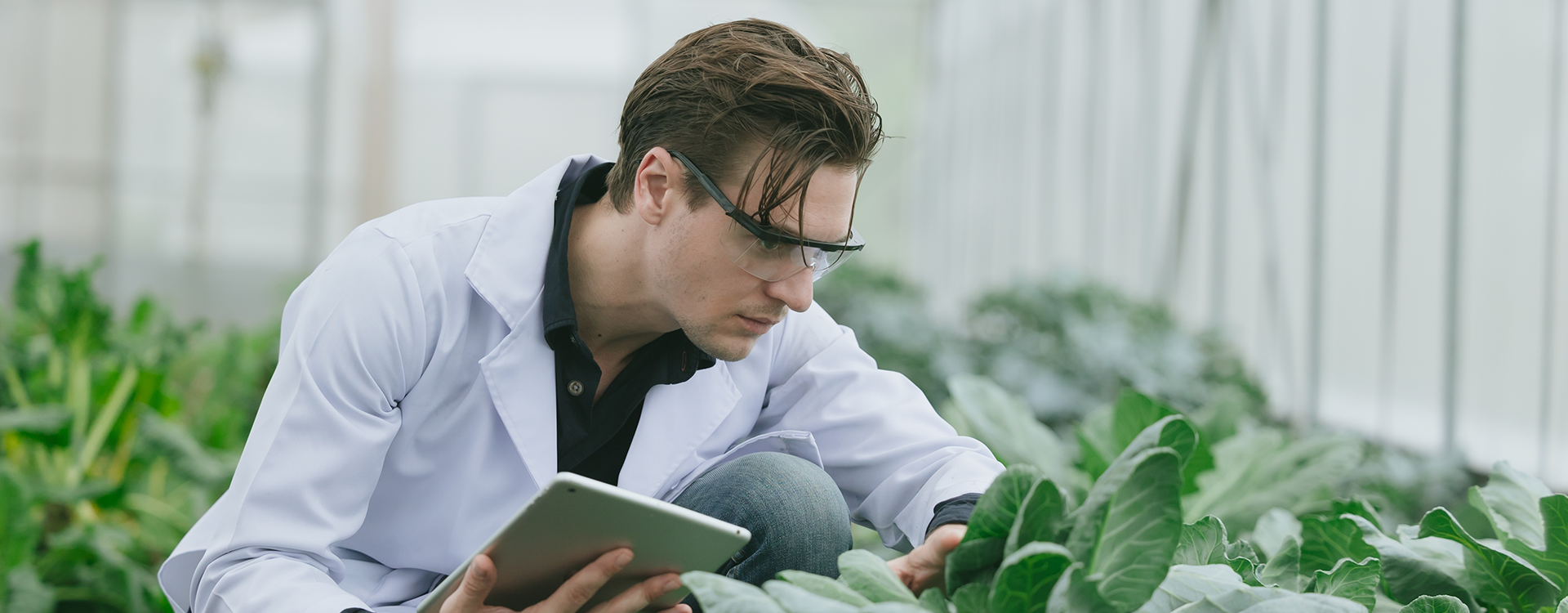 Científico en trabajo de campo.