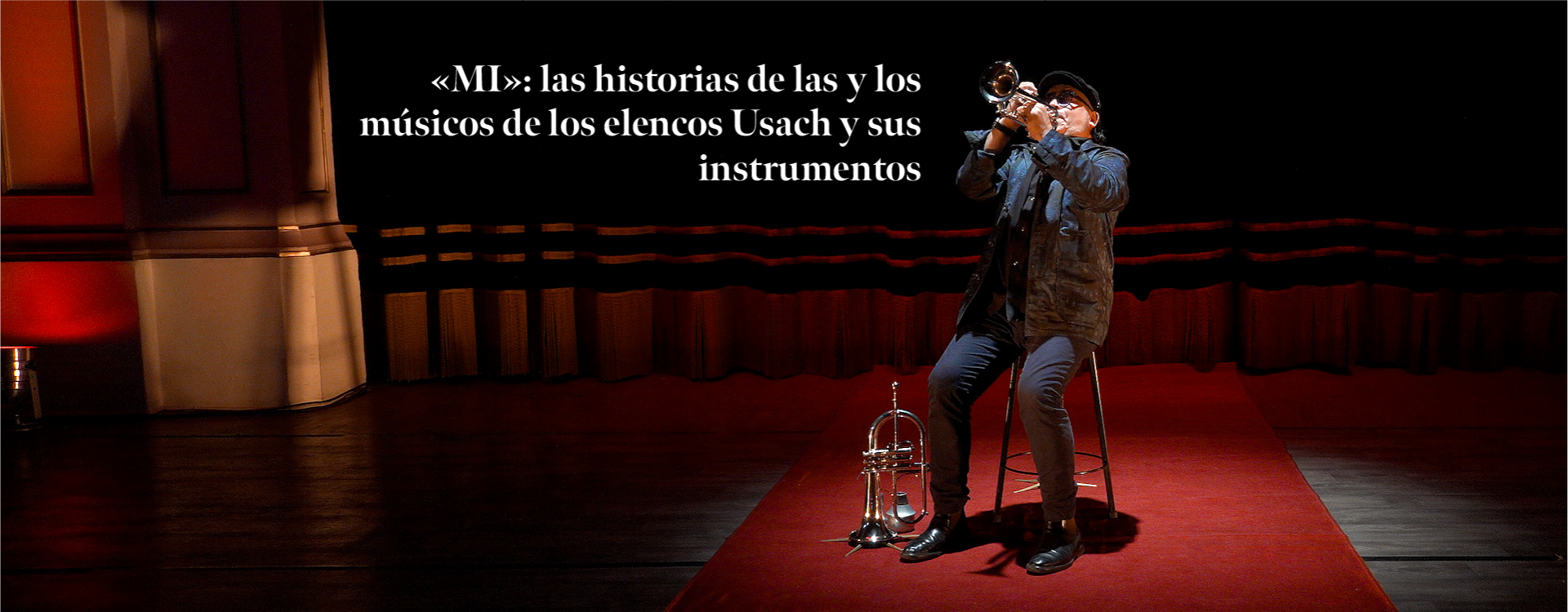 Imagen oficial